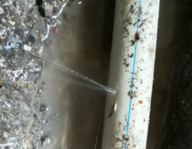 秭归测漏水哪家好