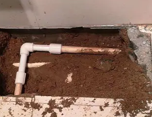 秭归测漏水哪家好