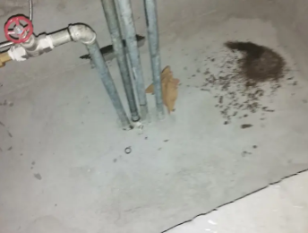 秭归卫生间测漏水价格明细