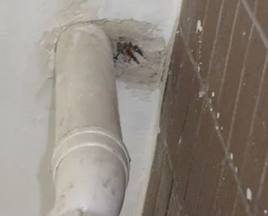 秭归漏水检测哪家好